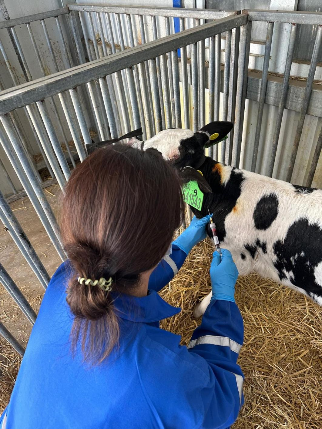 图片 2.png 图片 2.png