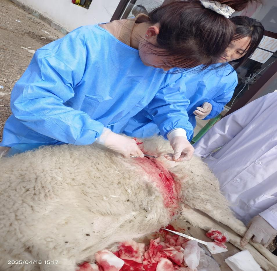 图片 9.png 图片 9.png