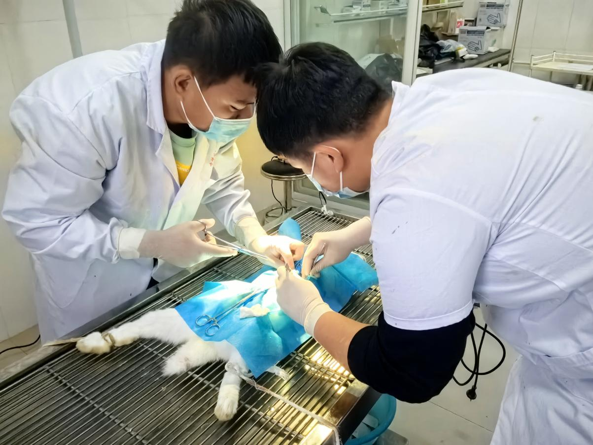 图片 7.png 图片 7.png