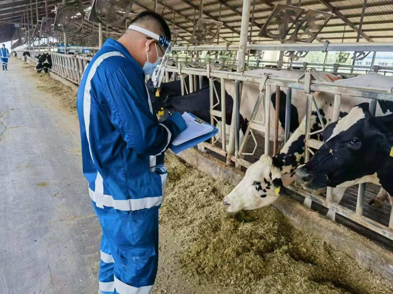 图片 3.png 图片 3.png