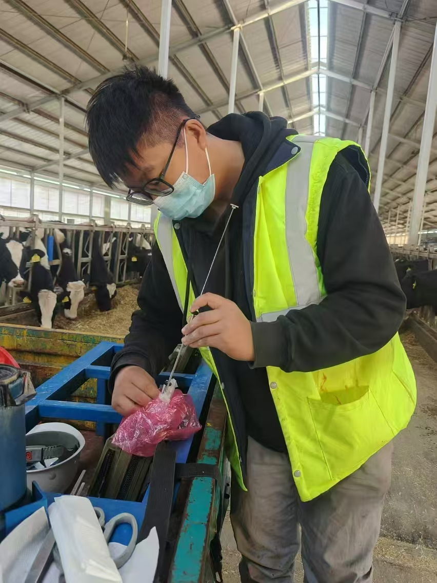 图片 4.png 图片 4.png