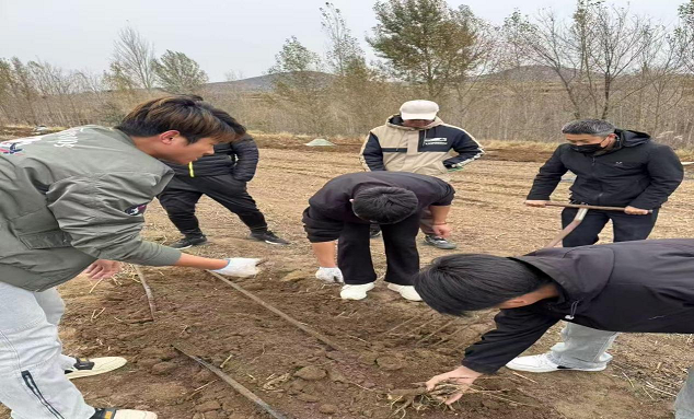 图片 12.png 图片 12.png